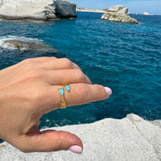 Turquoise fish Ring
